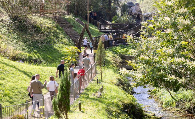 Valley at Wookey Hole